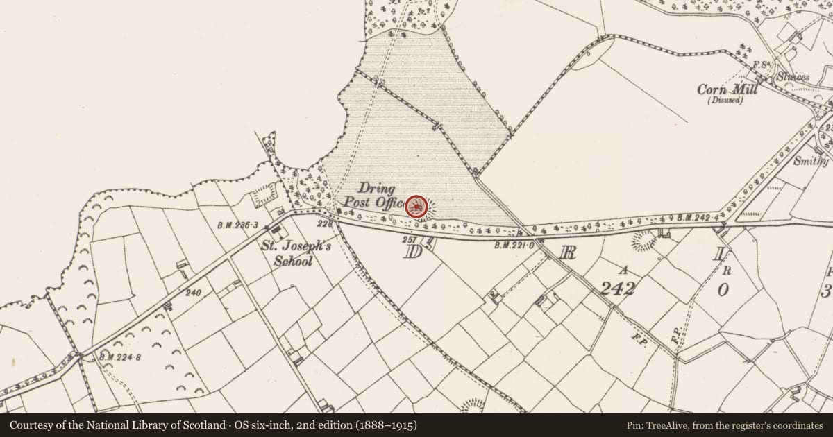 Ordnance Survey six-inch map, 2nd edition (1888–1915) covering the location of Ringfort - rath, Dring, County Longford, with a pin at the register's coordinates