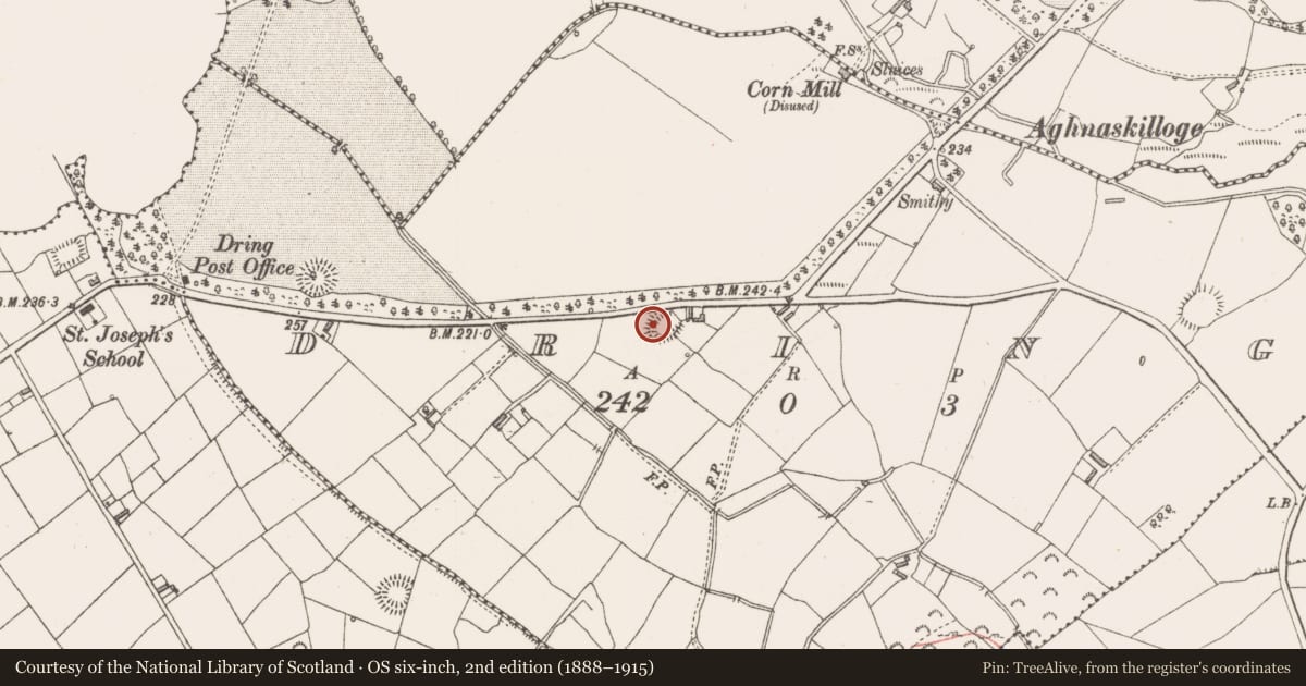 Ordnance Survey six-inch map, 2nd edition (1888–1915) covering the location of Ringfort - rath, Dring, County Longford, with a pin at the register's coordinates