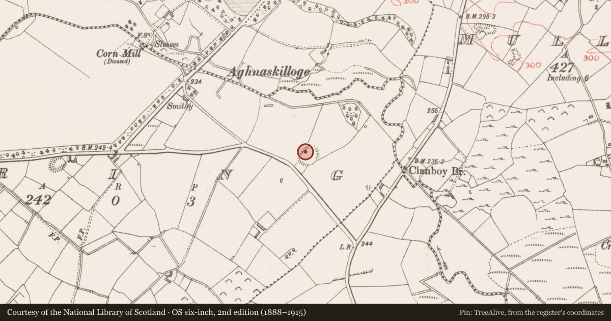 Ordnance Survey six-inch map, 2nd edition (1888–1915) covering the location of Ringfort - rath, Dring, County Longford, with a pin at the register's coordinates