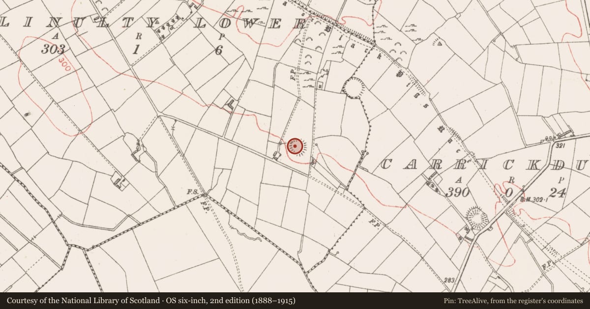 Ordnance Survey six-inch map, 2nd edition (1888–1915) covering the location of Ringfort - rath, Ballinulty Lower, County Longford, with a pin at the register's coordinates