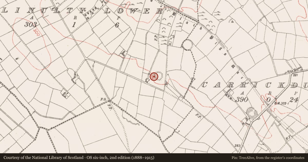 Ordnance Survey six-inch map, 2nd edition (1888–1915) covering the location of House - indeterminate date, Ballinulty Lower, County Longford, with a pin at the register's coordinates