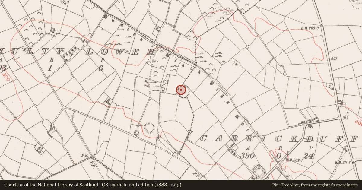 Ordnance Survey six-inch map, 2nd edition (1888–1915) covering the location of Ringfort - rath, Carrickduff, County Longford, with a pin at the register's coordinates