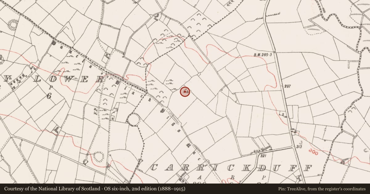 Ordnance Survey six-inch map, 2nd edition (1888–1915) covering the location of Ringfort - rath, Carrickduff, County Longford, with a pin at the register's coordinates