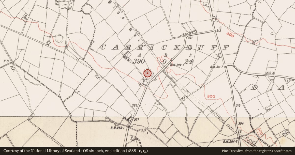 Ordnance Survey six-inch map, 2nd edition (1888–1915) covering the location of Ringfort - rath, Carrickduff, County Longford, with a pin at the register's coordinates