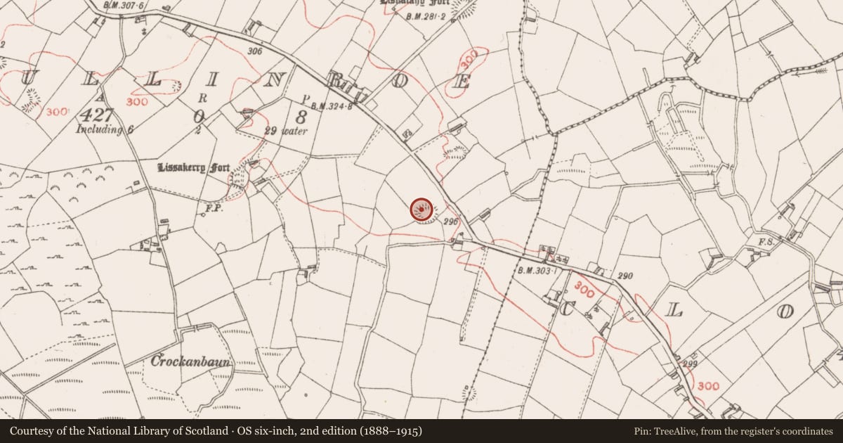 Ordnance Survey six-inch map, 2nd edition (1888–1915) covering the location of Ringfort - rath, Mullinroe, County Longford, with a pin at the register's coordinates