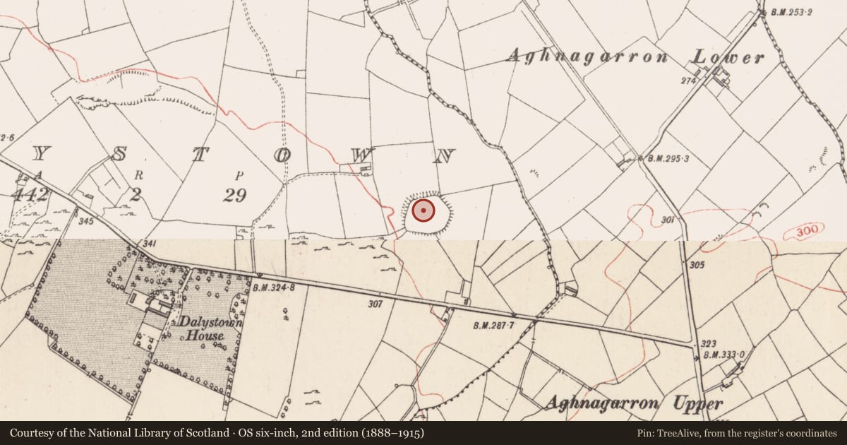 Ordnance Survey six-inch map, 2nd edition (1888–1915) covering the location of Enclosure, Dalystown, County Longford, with a pin at the register's coordinates