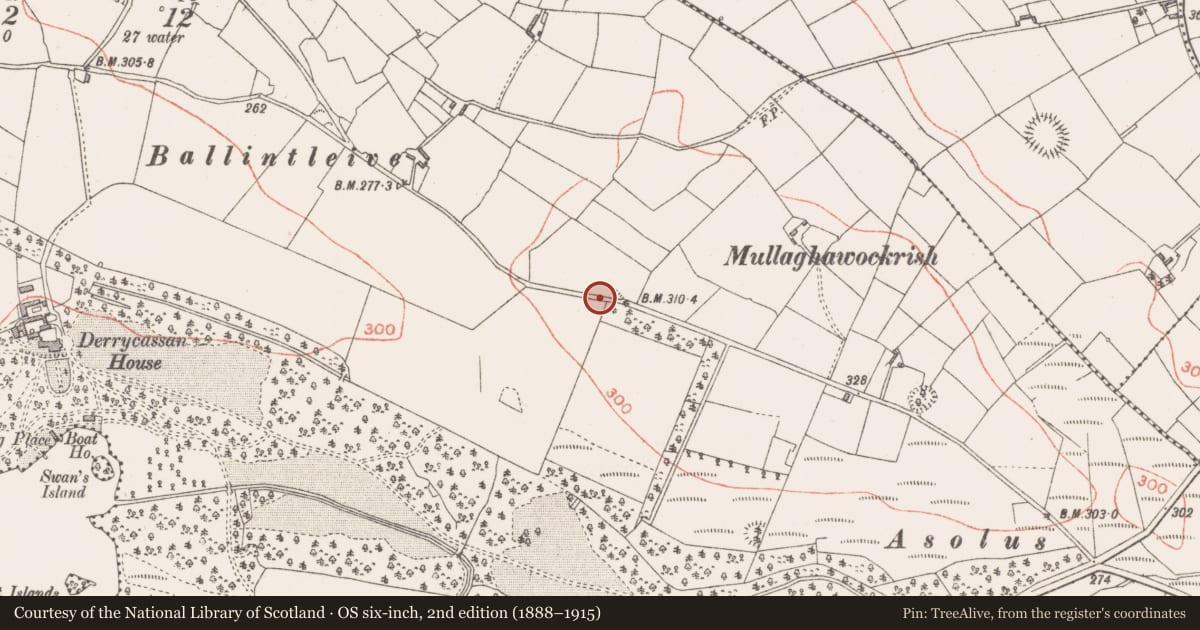 Ordnance Survey six-inch map, 2nd edition (1888–1915) covering the location of Ringfort - rath, Derrycassan, County Longford, with a pin at the register's coordinates