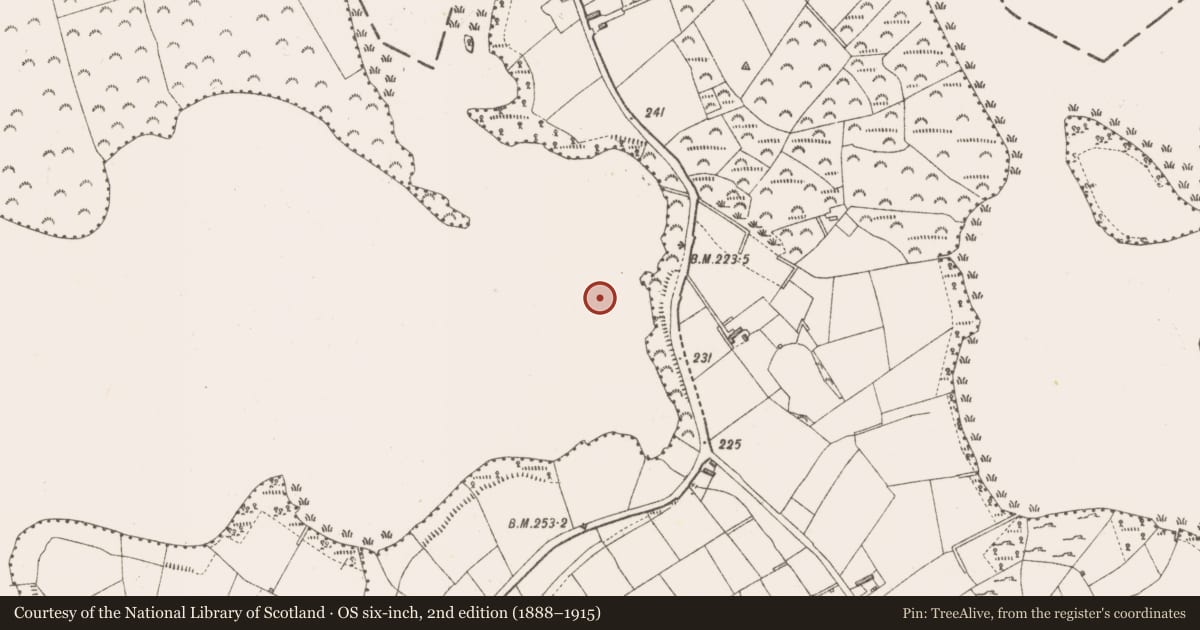 Ordnance Survey six-inch map, 2nd edition (1888–1915) covering the location of Crannog, Lough Gowna, County Longford, with a pin at the register's coordinates