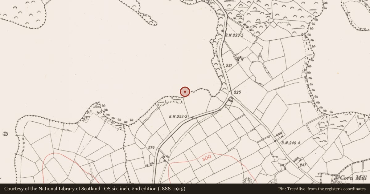 Ordnance Survey six-inch map, 2nd edition (1888–1915) covering the location of Crannog, Lough Gowna, County Longford, with a pin at the register's coordinates