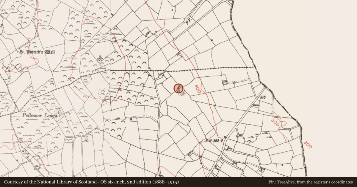 Ordnance Survey six-inch map, 2nd edition (1888–1915) covering the location of Ringfort - rath, Corbaun Or Leitrim, County Longford, with a pin at the register's coordinates