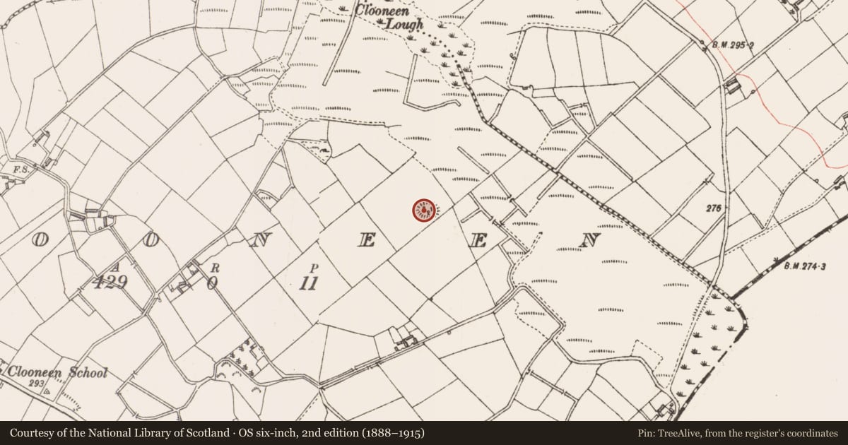 Ordnance Survey six-inch map, 2nd edition (1888–1915) covering the location of Ringfort - rath, Clooneen, County Longford, with a pin at the register's coordinates