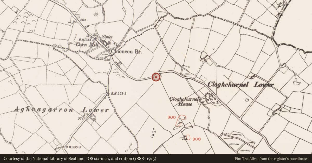 Ordnance Survey six-inch map, 2nd edition (1888–1915) covering the location of Ringfort - rath, Cloghchurnel, County Longford, with a pin at the register's coordinates