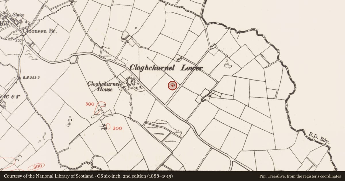 Ordnance Survey six-inch map, 2nd edition (1888–1915) covering the location of Barrow - ring-barrow, Cloghchurnel, County Longford, with a pin at the register's coordinates