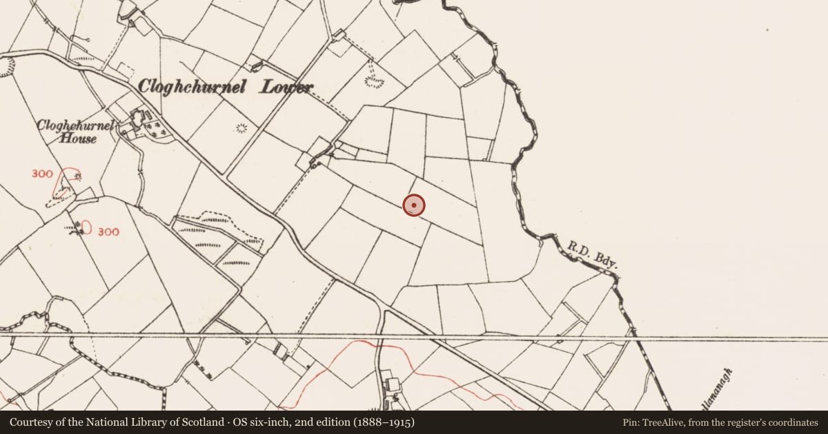 Ordnance Survey six-inch map, 2nd edition (1888–1915) covering the location of Standing stone, Cloghchurnel, County Longford, with a pin at the register's coordinates