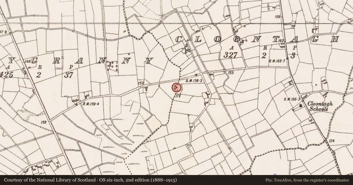Ordnance Survey six-inch map, 2nd edition (1888–1915) covering the location of Ringfort - rath, Cloontagh, Currygranny, County Longford, with a pin at the register's coordinates