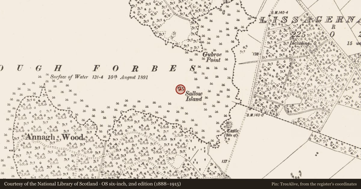Ordnance Survey six-inch map, 2nd edition (1888–1915) covering the location of Crannog, Lough Forbes, County Longford, with a pin at the register's coordinates