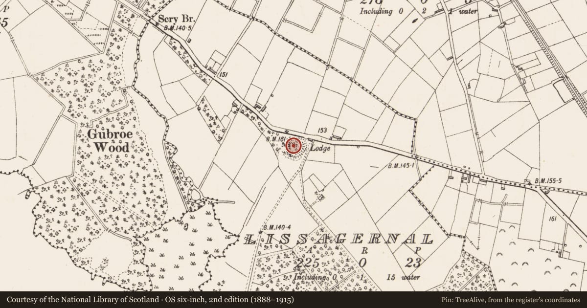 Ordnance Survey six-inch map, 2nd edition (1888–1915) covering the location of Ringfort - rath, Lissagernal, County Longford, with a pin at the register's coordinates