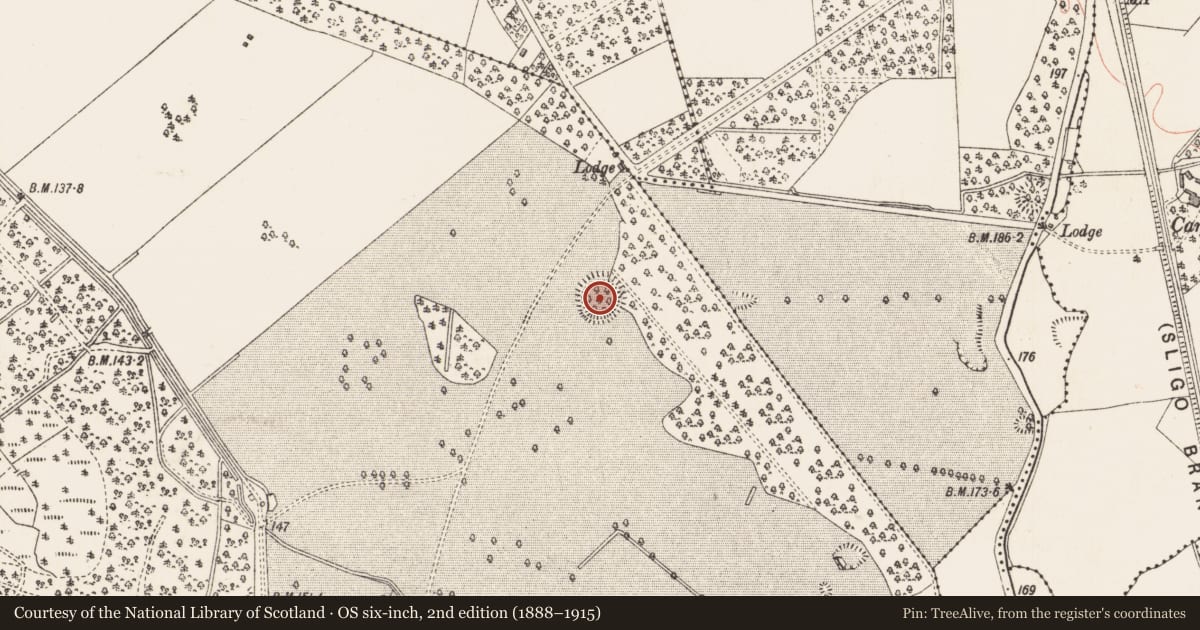 Ordnance Survey six-inch map, 2nd edition (1888–1915) covering the location of Ringfort - rath, Castleforbes Demesne, County Longford, with a pin at the register's coordinates
