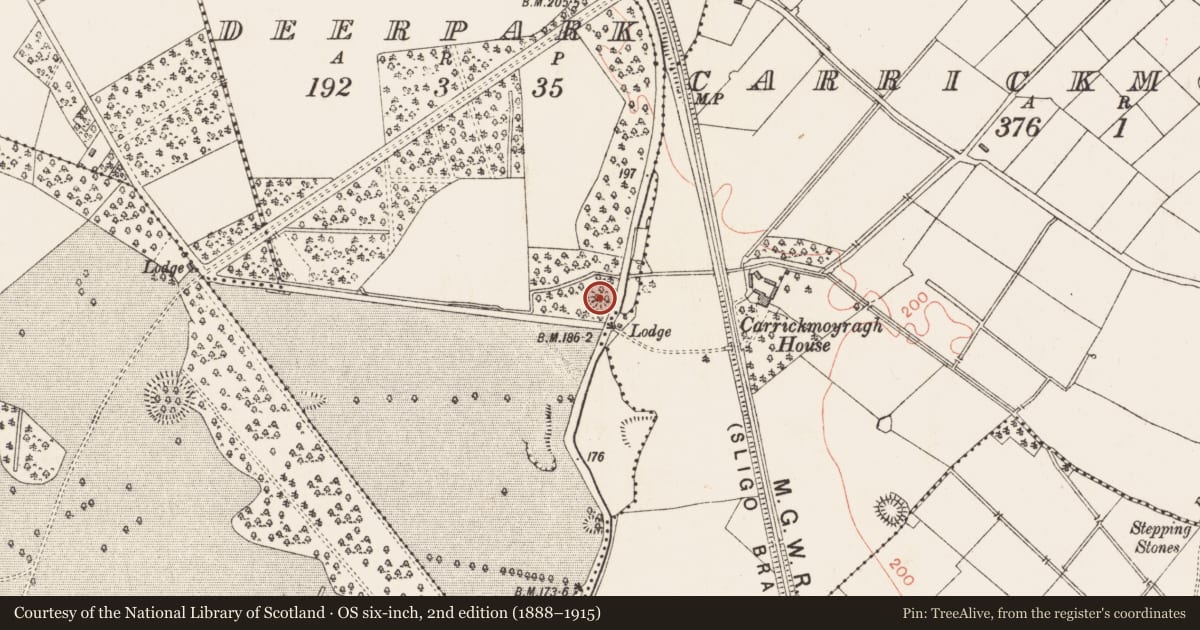 Ordnance Survey six-inch map, 2nd edition (1888–1915) covering the location of Ringfort - rath, Deerpark, County Longford, with a pin at the register's coordinates