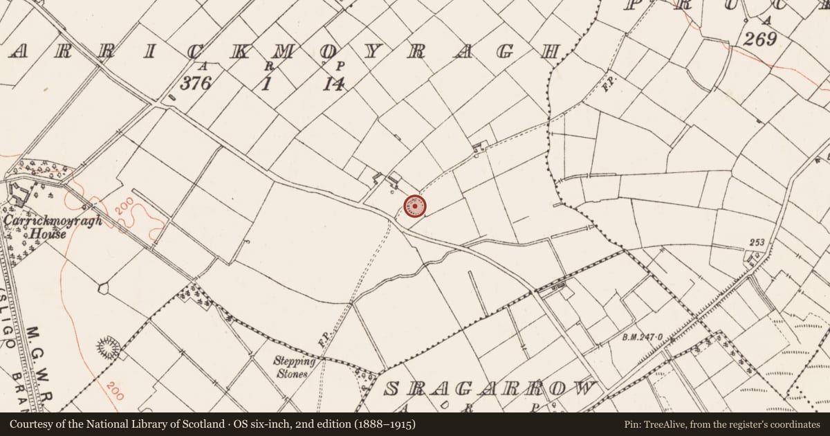 Ordnance Survey six-inch map, 2nd edition (1888–1915) covering the location of Ringfort - rath, Carrickmoyragh, County Longford, with a pin at the register's coordinates