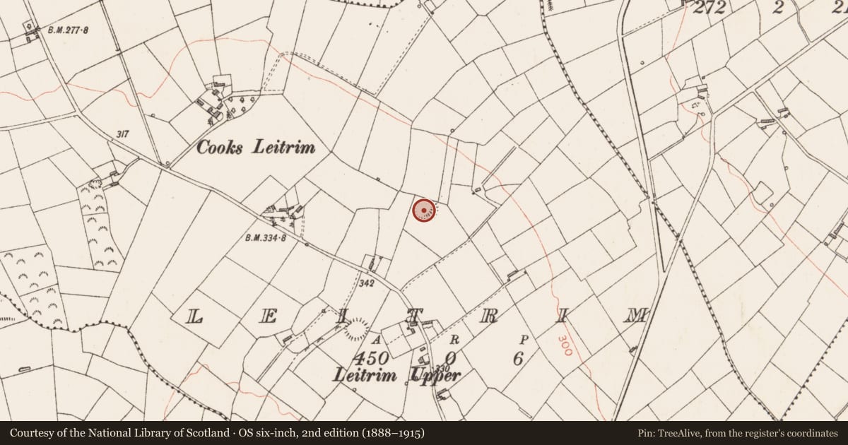 Ordnance Survey six-inch map, 2nd edition (1888–1915) covering the location of Ringfort - rath, Leitrim, County Longford, with a pin at the register's coordinates