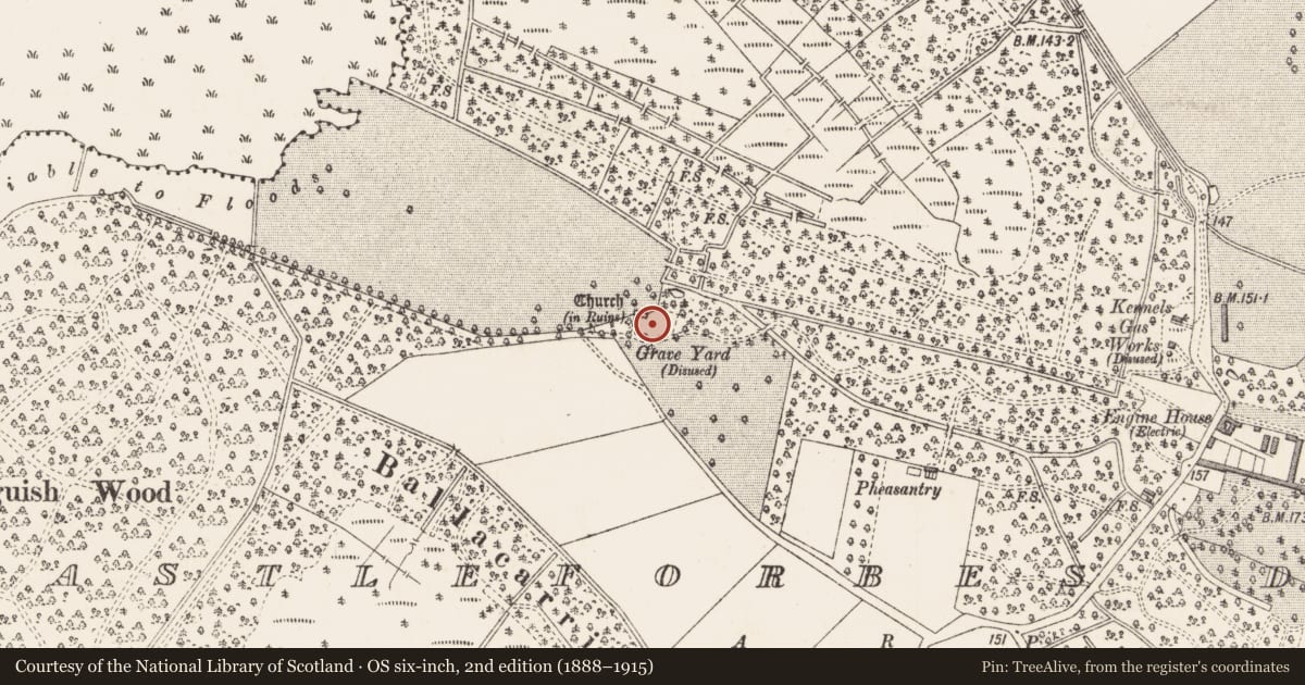 Ordnance Survey six-inch map, 2nd edition (1888–1915) covering the location of Graveyard, Castleforbes Demesne, County Longford, with a pin at the register's coordinates