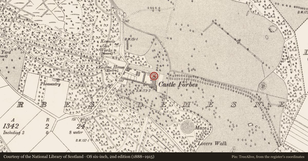 Ordnance Survey six-inch map, 2nd edition (1888–1915) covering the location of Castle - unclassified, Castleforbes Demesne, County Longford, with a pin at the register's coordinates