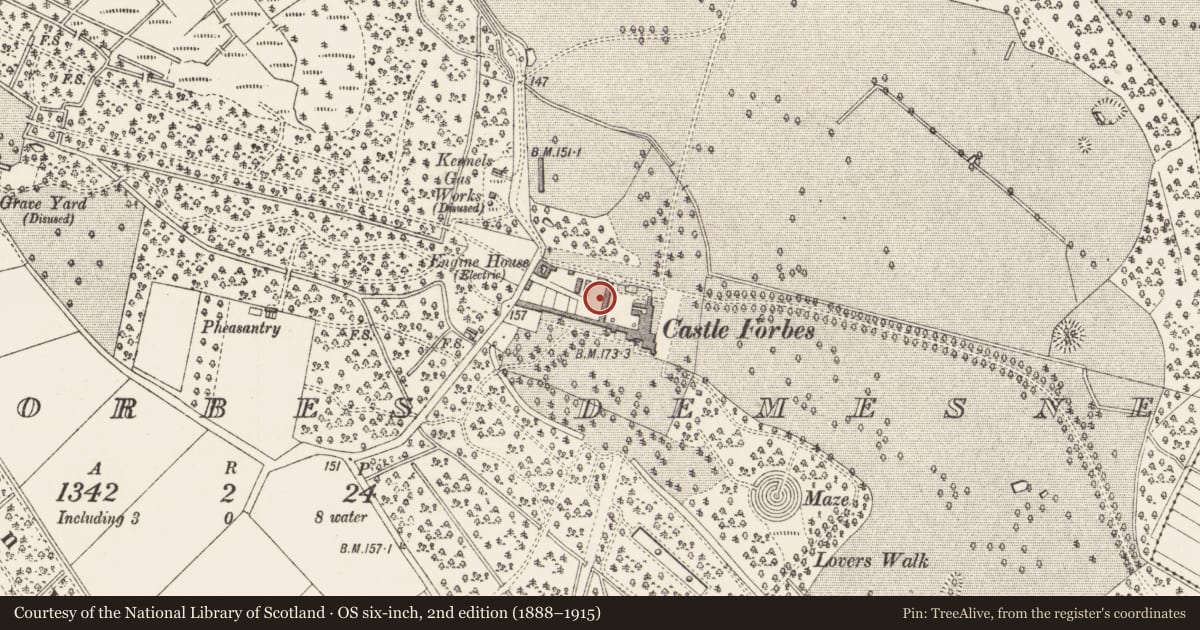 Ordnance Survey six-inch map, 2nd edition (1888–1915) covering the location of Armorial plaque, Castleforbes Demesne, County Longford, with a pin at the register's coordinates