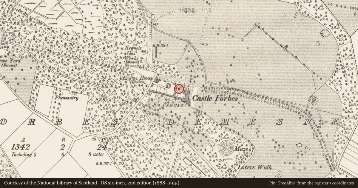 Ordnance Survey six-inch map, 2nd edition (1888–1915) covering the location of Bawn, Castleforbes Demesne, County Longford, with a pin at the register's coordinates
