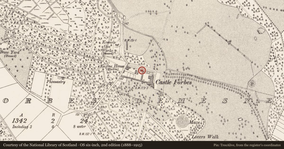 Ordnance Survey six-inch map, 2nd edition (1888–1915) covering the location of Armorial plaque, Castleforbes Demesne, County Longford, with a pin at the register's coordinates