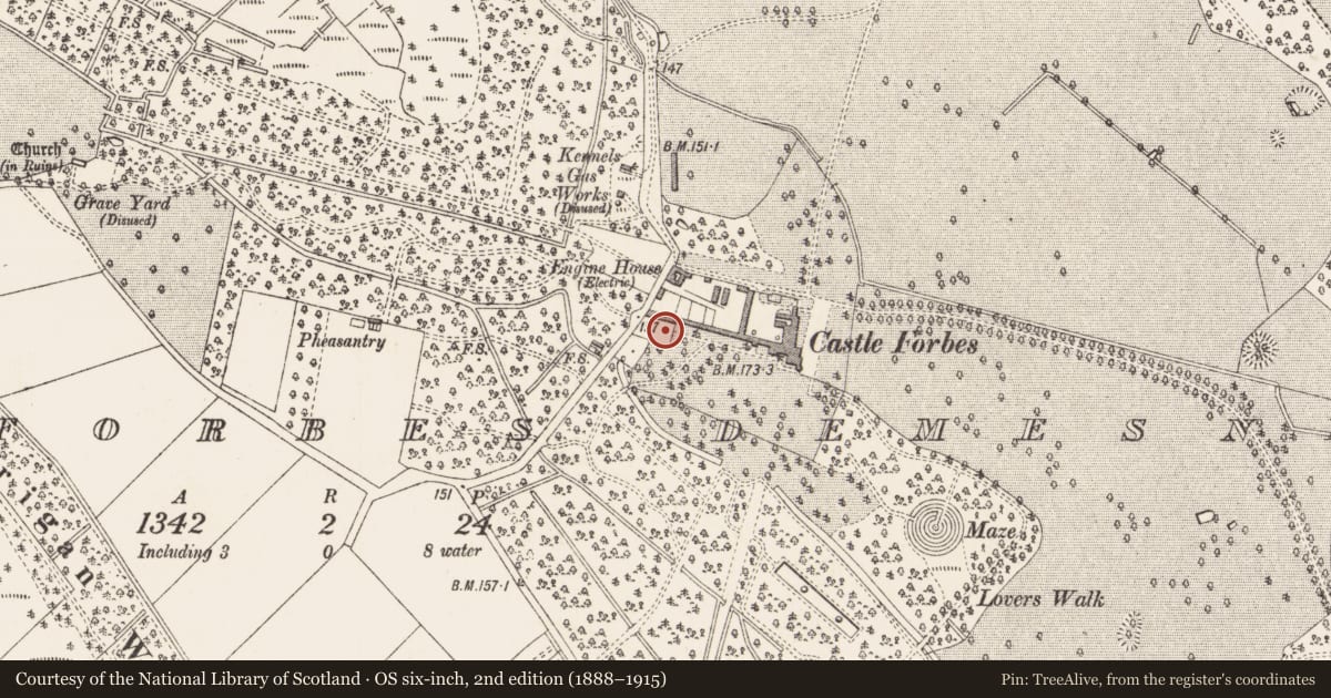 Ordnance Survey six-inch map, 2nd edition (1888–1915) covering the location of Memorial stone, Castleforbes Demesne, County Longford, with a pin at the register's coordinates