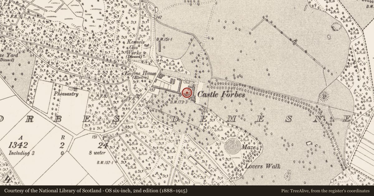 Ordnance Survey six-inch map, 2nd edition (1888–1915) covering the location of Well, Castleforbes Demesne, County Longford, with a pin at the register's coordinates