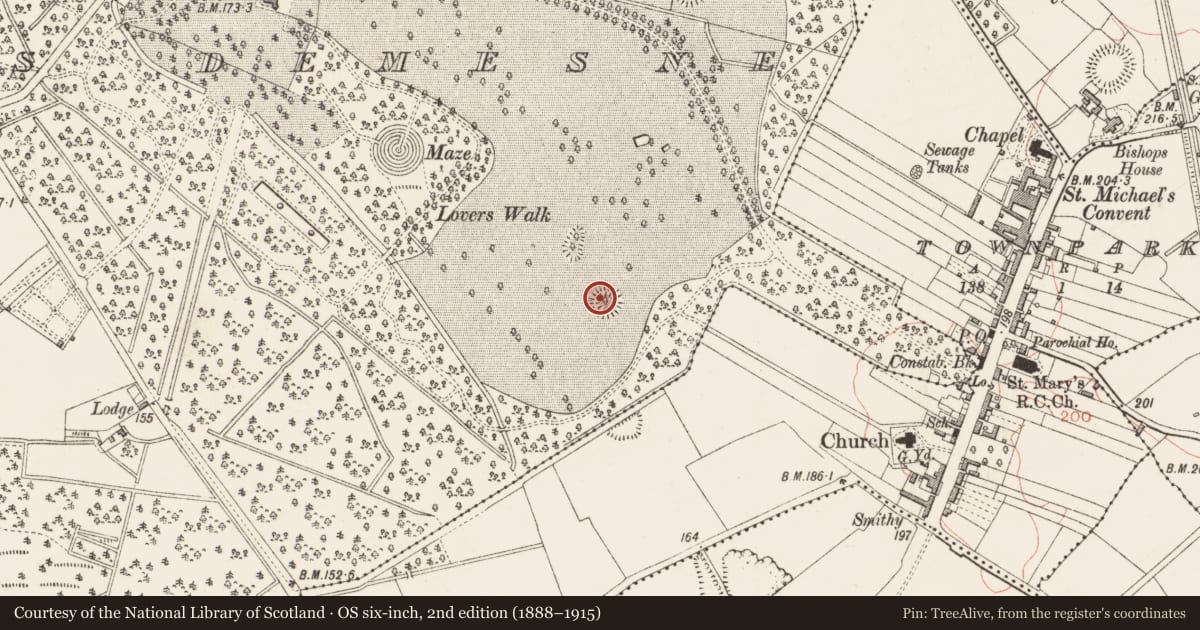 Ordnance Survey six-inch map, 2nd edition (1888–1915) covering the location of Ringfort - rath, Castleforbes Demesne, County Longford, with a pin at the register's coordinates