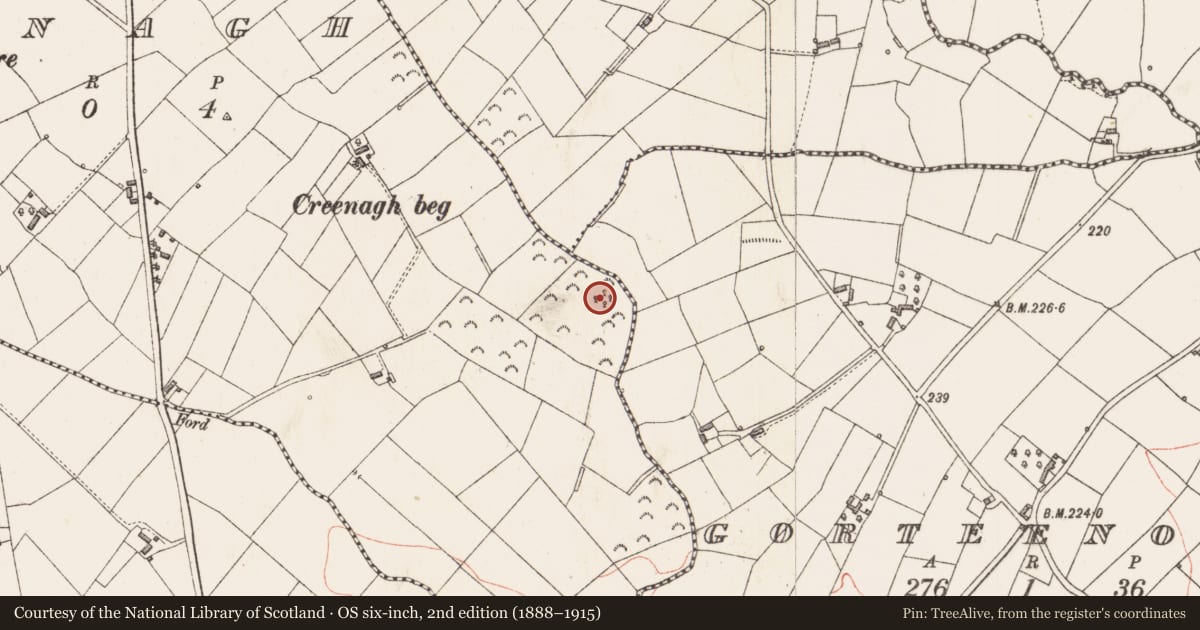 Ordnance Survey six-inch map, 2nd edition (1888–1915) covering the location of Ringfort - rath, Creenagh, County Longford, with a pin at the register's coordinates