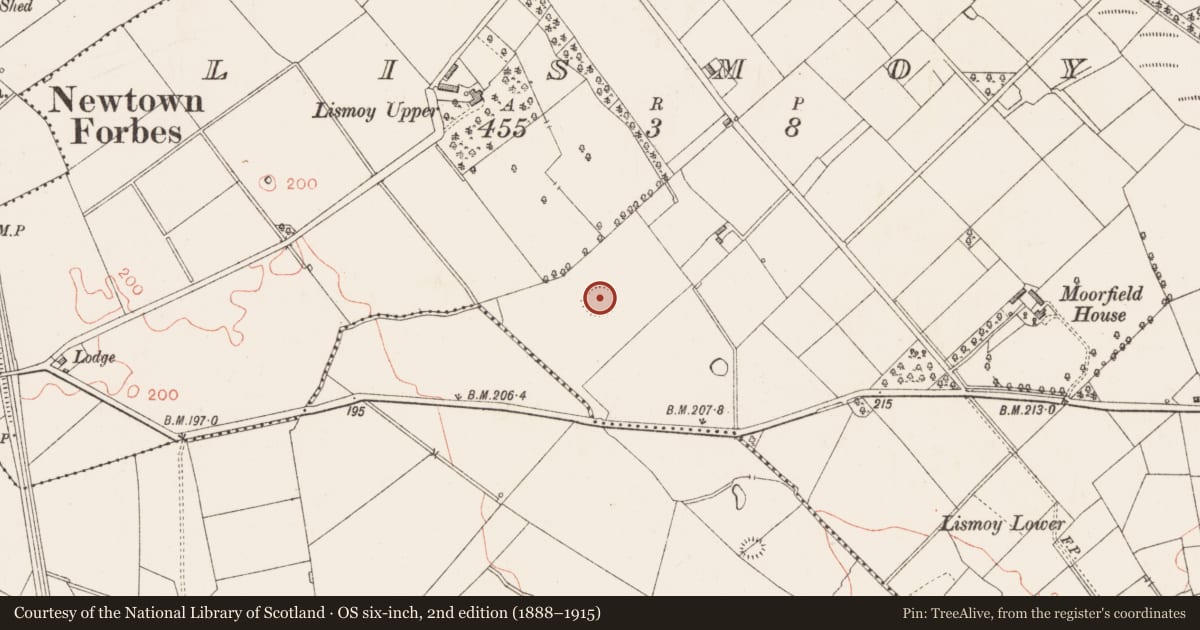 Ordnance Survey six-inch map, 2nd edition (1888–1915) covering the location of Ringfort - rath, Lismoy, County Longford, with a pin at the register's coordinates