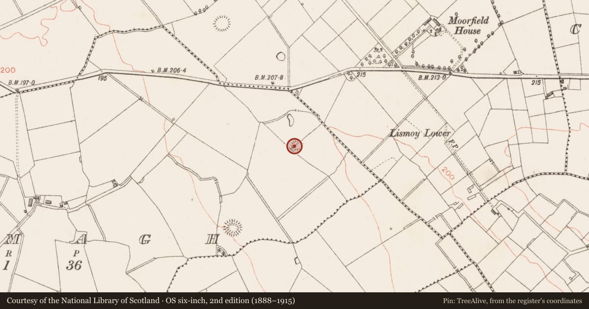 Ordnance Survey six-inch map, 2nd edition (1888–1915) covering the location of Ringfort - rath, Lamagh, County Longford, with a pin at the register's coordinates