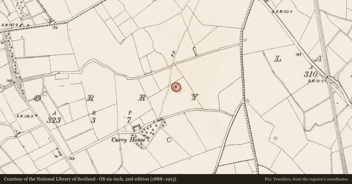Ordnance Survey six-inch map, 2nd edition (1888–1915) covering the location of Ringfort - rath, Corry, County Longford, with a pin at the register's coordinates