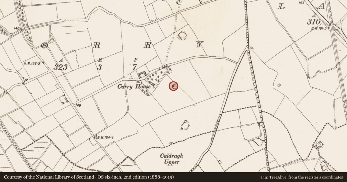Ordnance Survey six-inch map, 2nd edition (1888–1915) covering the location of Ringfort - rath, Corry, County Longford, with a pin at the register's coordinates