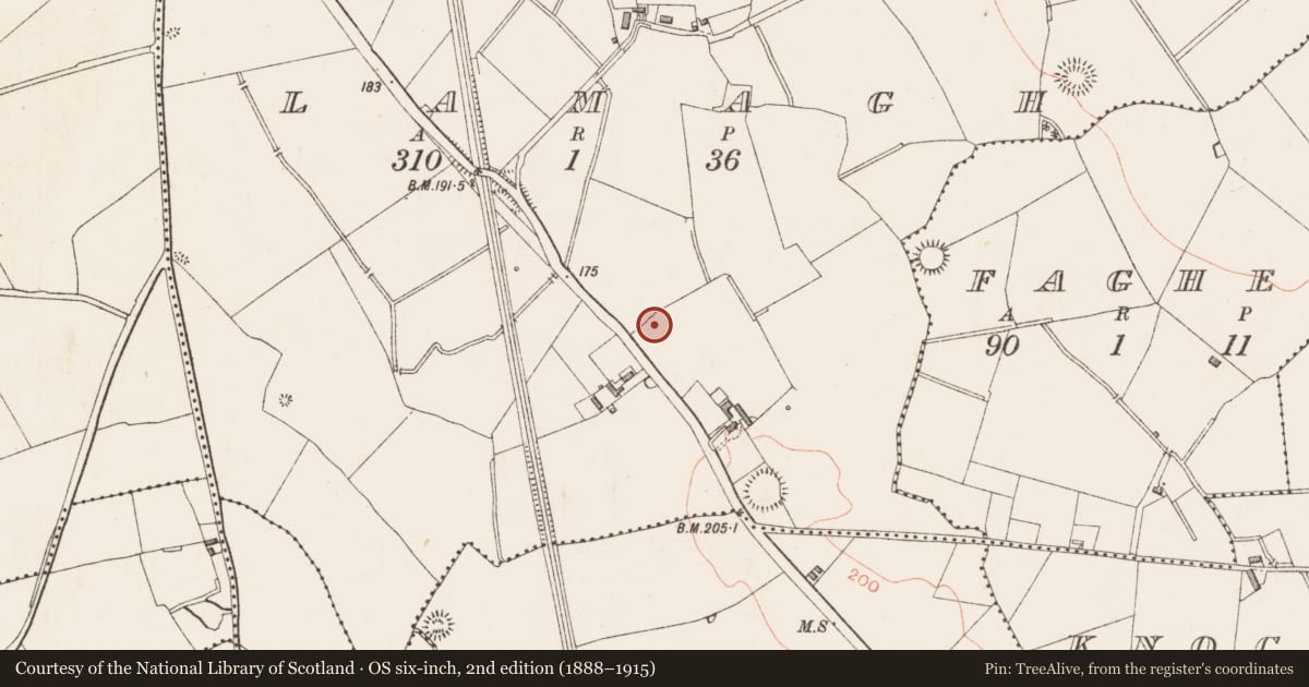 Ordnance Survey six-inch map, 2nd edition (1888–1915) covering the location of Ringfort - rath, Lamagh, County Longford, with a pin at the register's coordinates