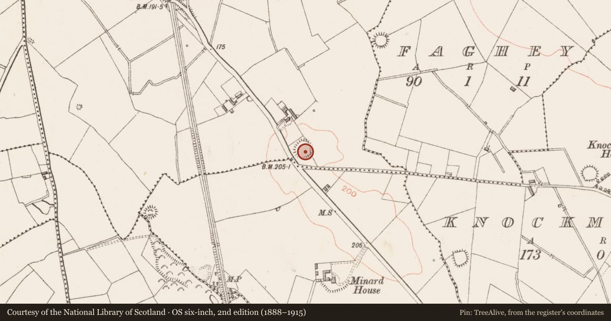 Ordnance Survey six-inch map, 2nd edition (1888–1915) covering the location of Ringfort - rath, Lamagh, County Longford, with a pin at the register's coordinates