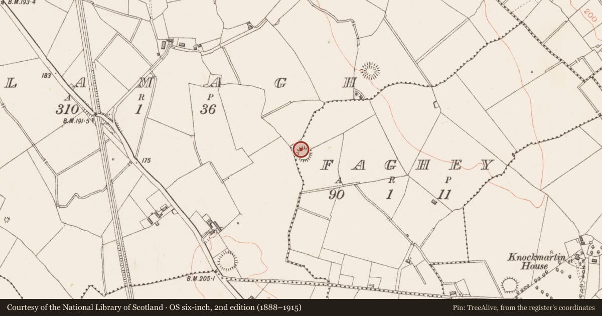 Ordnance Survey six-inch map, 2nd edition (1888–1915) covering the location of Ringfort - rath, Faghey, County Longford, with a pin at the register's coordinates