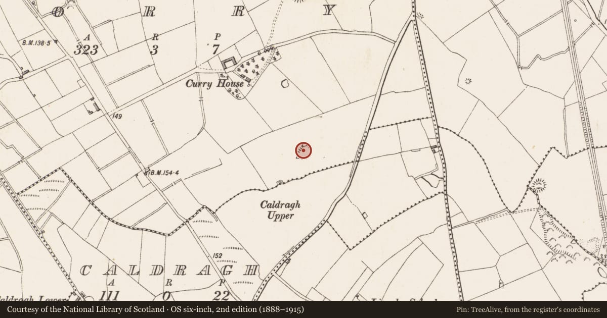 Ordnance Survey six-inch map, 2nd edition (1888–1915) covering the location of Ringfort - rath, Corry, County Longford, with a pin at the register's coordinates
