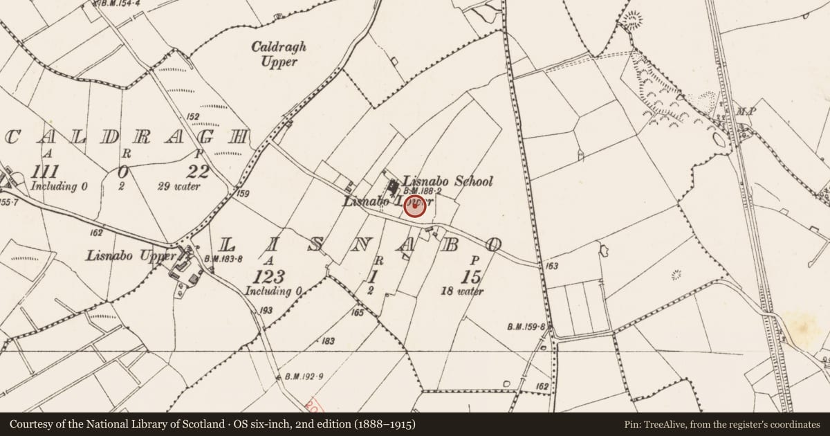 Ordnance Survey six-inch map, 2nd edition (1888–1915) covering the location of Ringfort - rath, Lisnabo, County Longford, with a pin at the register's coordinates