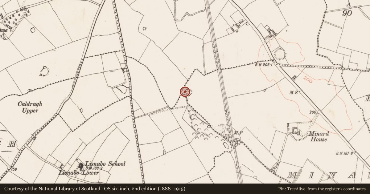 Ordnance Survey six-inch map, 2nd edition (1888–1915) covering the location of Ringfort - rath, Minard, County Longford, with a pin at the register's coordinates