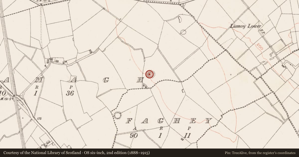 Ordnance Survey six-inch map, 2nd edition (1888–1915) covering the location of Ringfort - rath, Lamagh, County Longford, with a pin at the register's coordinates