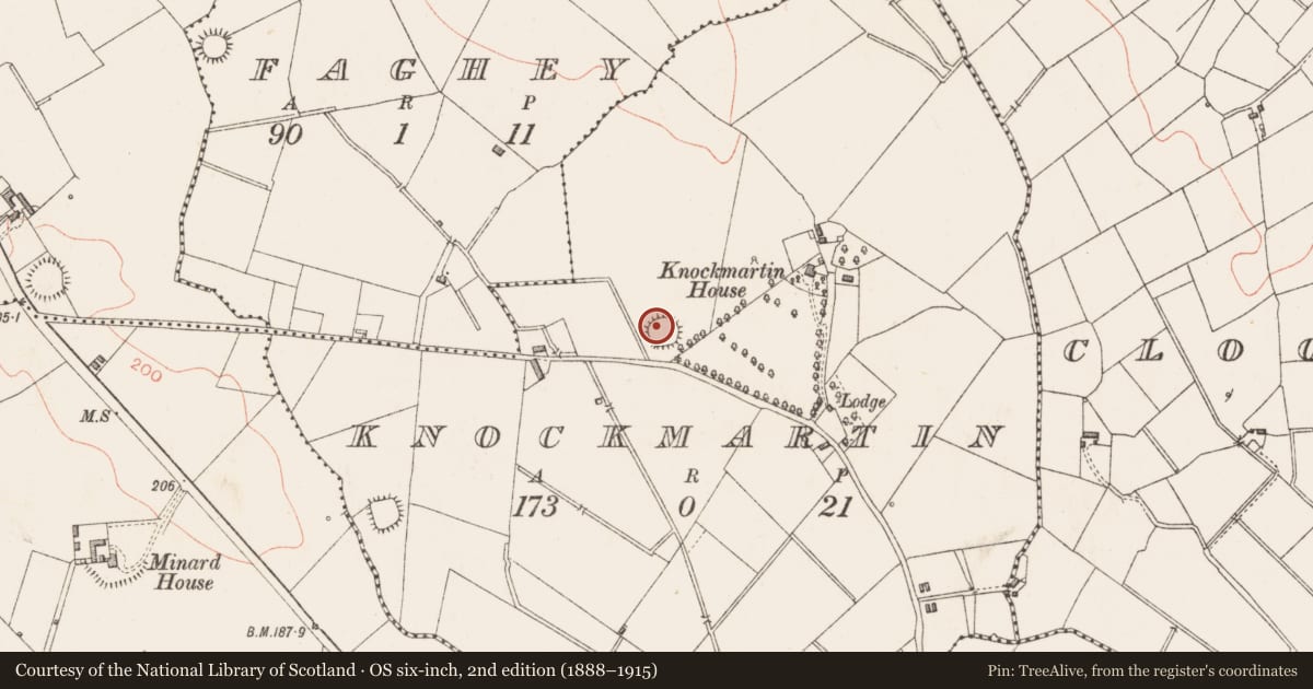 Ordnance Survey six-inch map, 2nd edition (1888–1915) covering the location of Ringfort - rath, Knockmartin, County Longford, with a pin at the register's coordinates