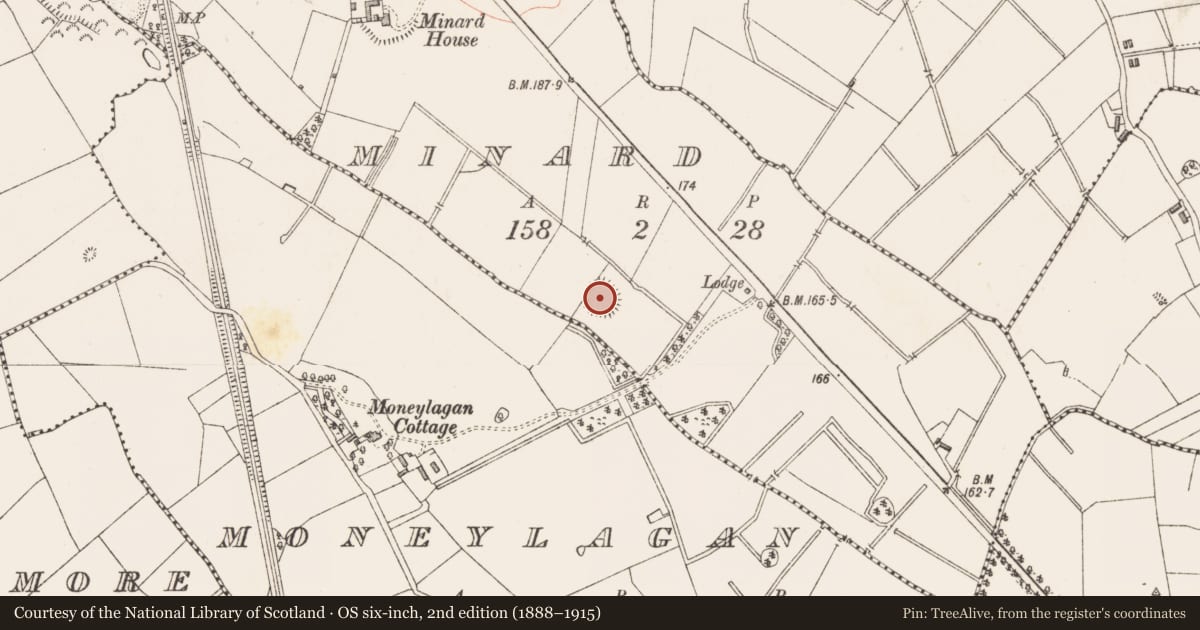 Ordnance Survey six-inch map, 2nd edition (1888–1915) covering the location of Enclosure, Minard, County Longford, with a pin at the register's coordinates