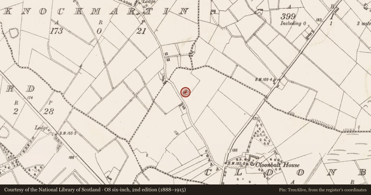 Ordnance Survey six-inch map, 2nd edition (1888–1915) covering the location of Ringfort - rath, Cloonbalt, County Longford, with a pin at the register's coordinates