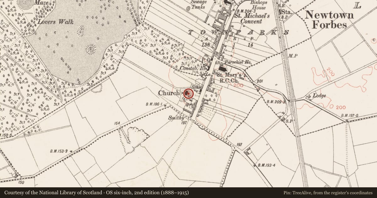 Ordnance Survey six-inch map, 2nd edition (1888–1915) covering the location of Graveyard, Townparks, County Longford, with a pin at the register's coordinates