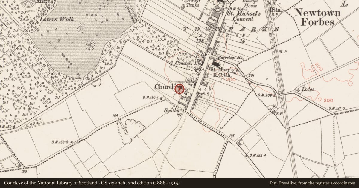 Ordnance Survey six-inch map, 2nd edition (1888–1915) covering the location of Headstone, Townparks, County Longford, with a pin at the register's coordinates
